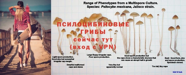 альфа пвп VHQ Баксан