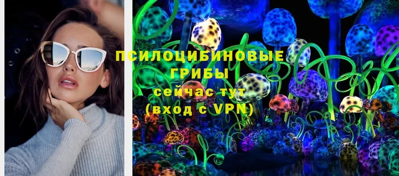 как найти закладки  Владикавказ  Псилоцибиновые грибы Psilocybine cubensis 